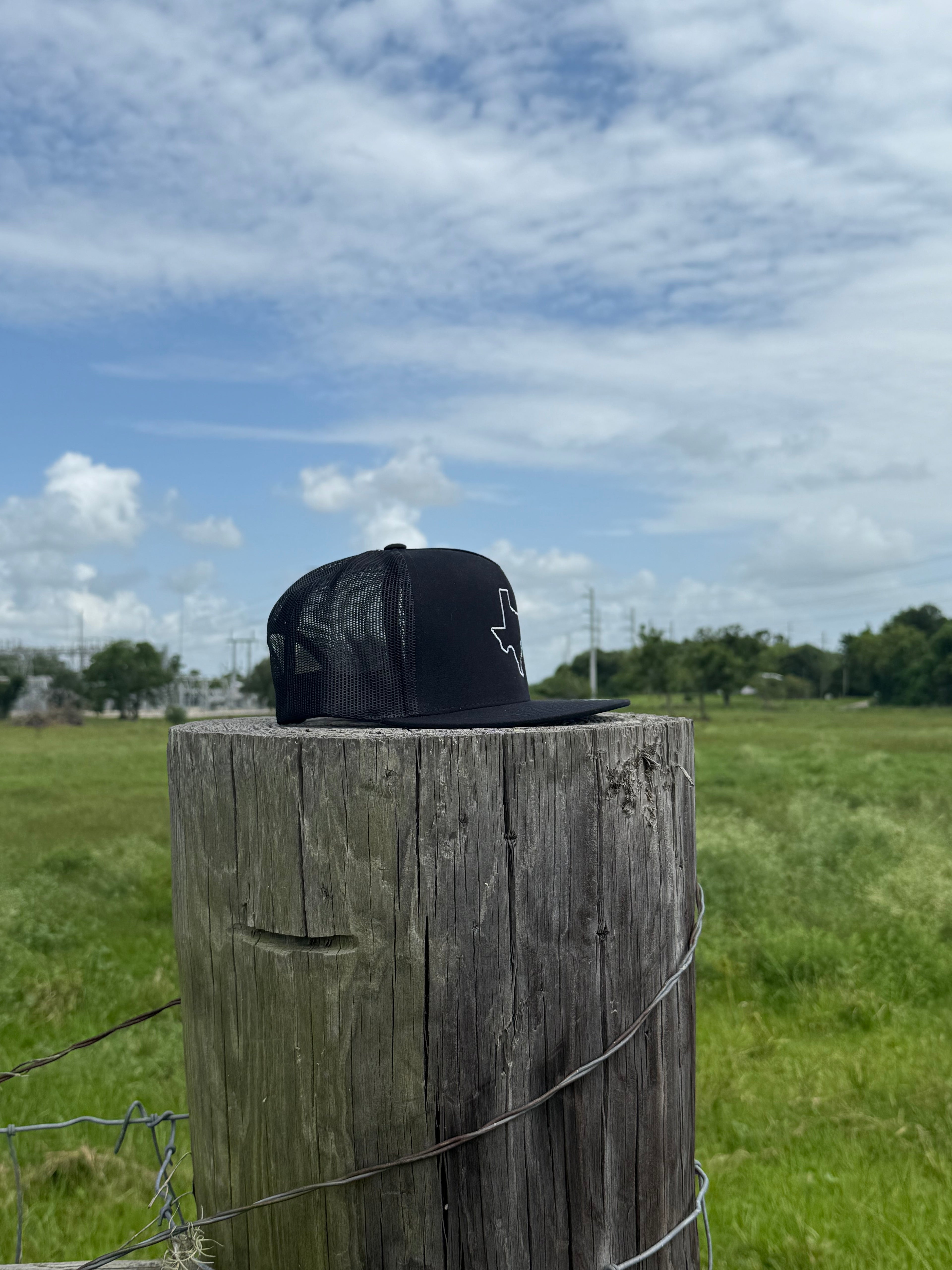 SouthEast TX fowl