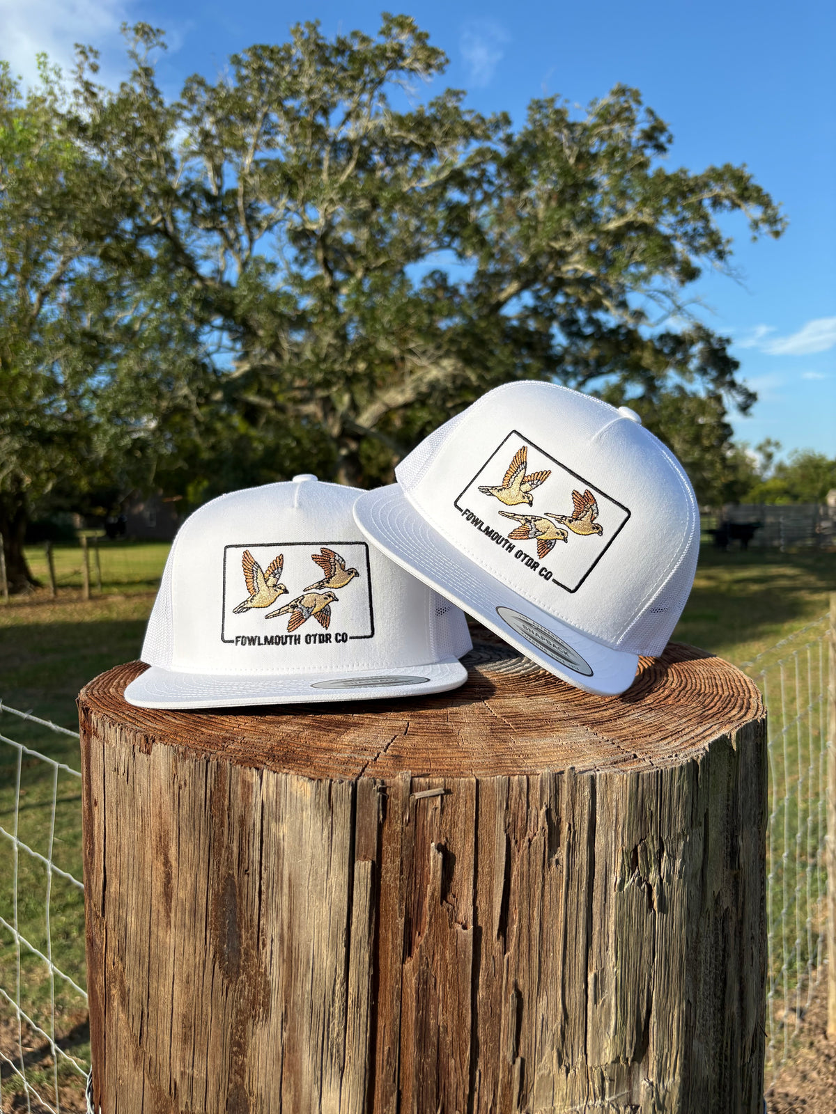 Dove szn