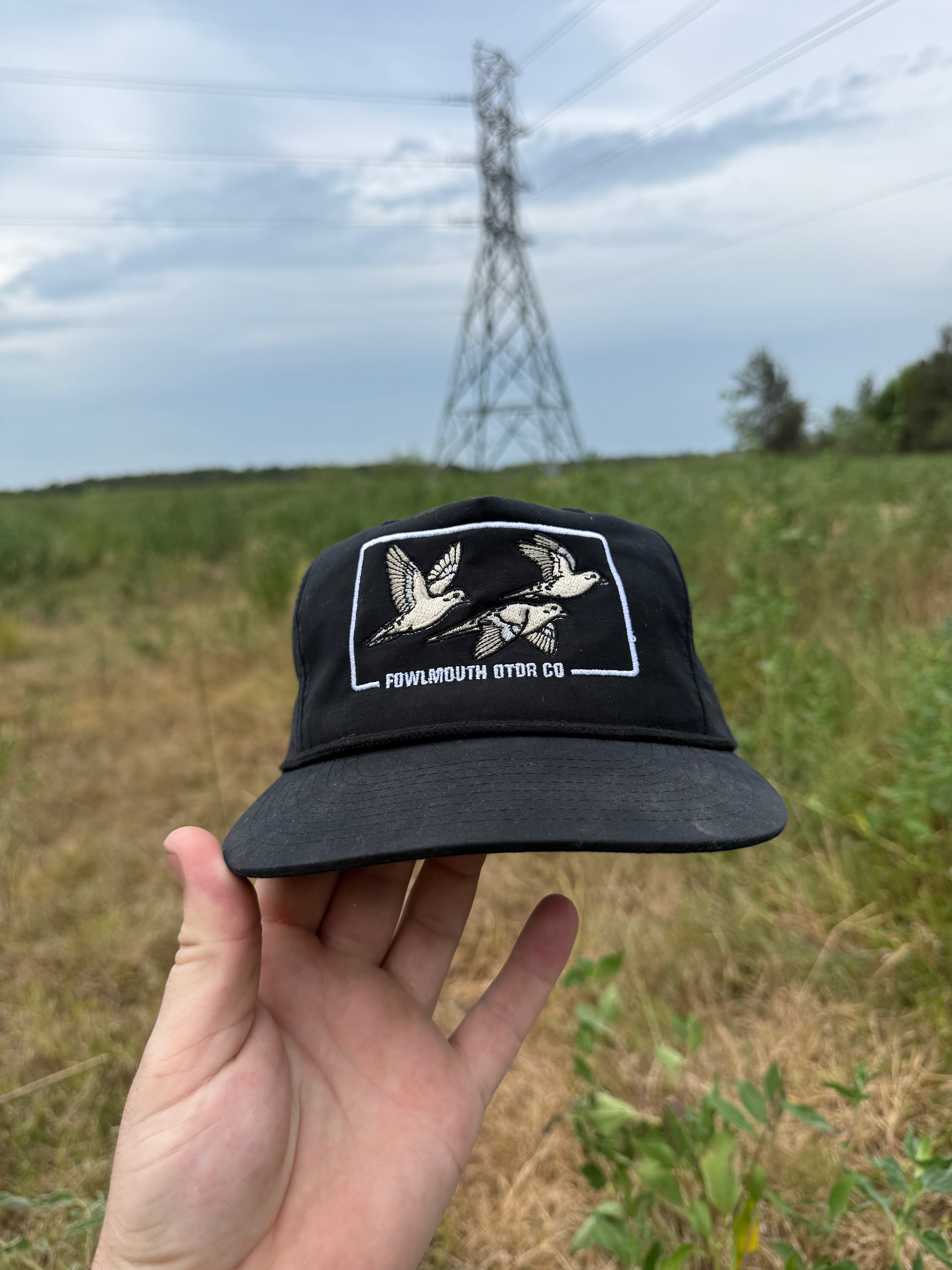 Dove szn